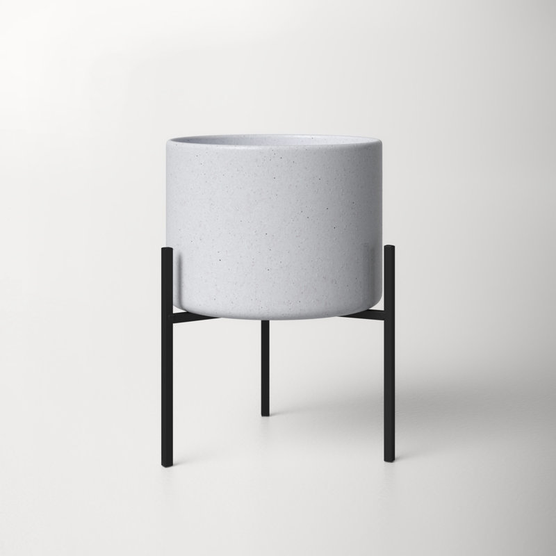 AllModern Myers Ceramic Indoor Pot Planter & Reviews Wayfair